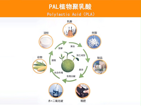 可降解水果保鲜棉|可降解水果保水棉