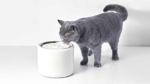 猫饮水机过滤棉
