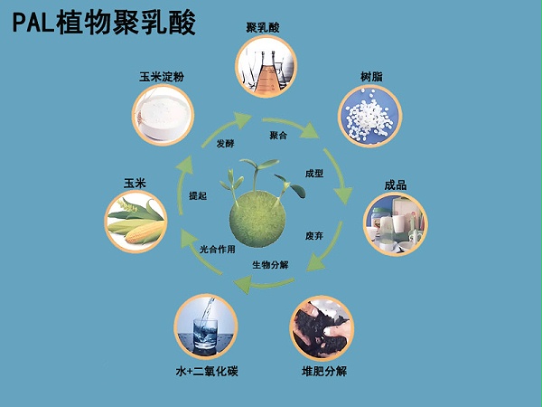可降解针刺棉|PLA植物纤维针刺棉