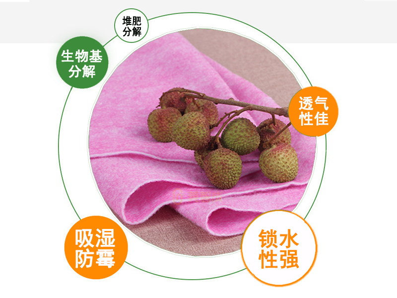 可降解水果保鲜棉|可降解水果保水棉