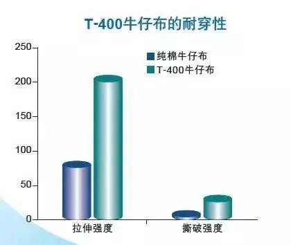 弹性纤维