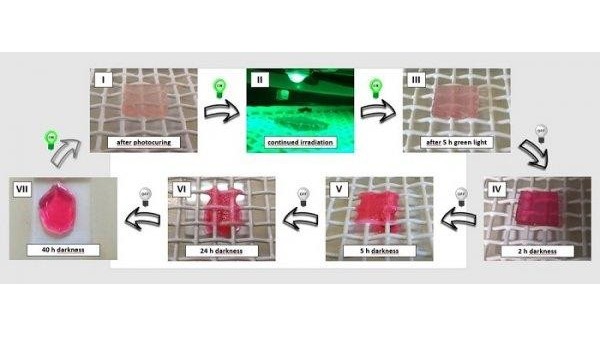 科学家研制动态可重新编程材料：光照变硬 暗时变软