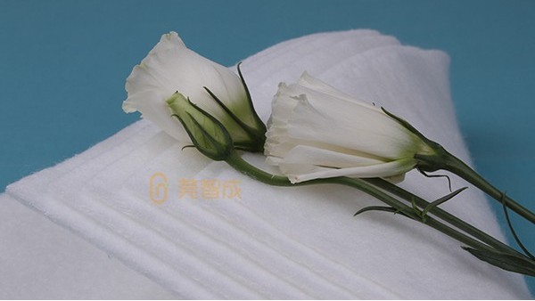 鲜花吸水棉-正规厂家
