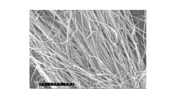 德科学家研制成功“拜罗伊特超级纤维”