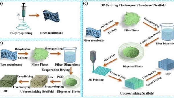 3D打印电纺纤维基软骨再生支架